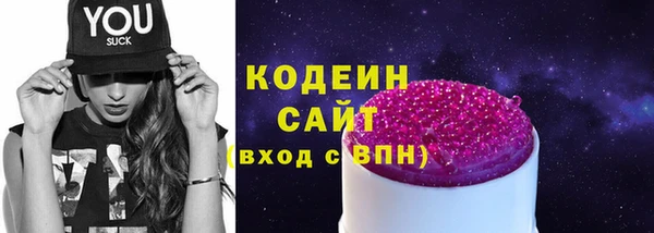 стаф Каменногорск