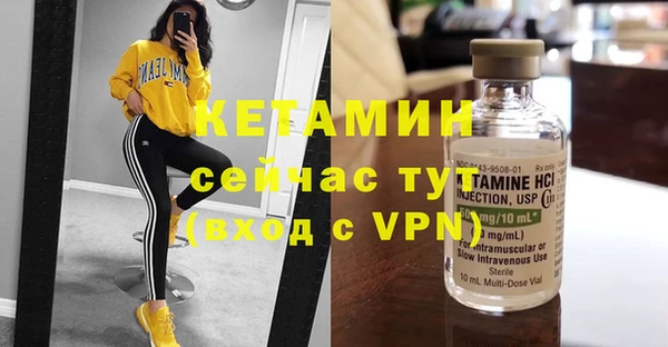 стаф Каменногорск