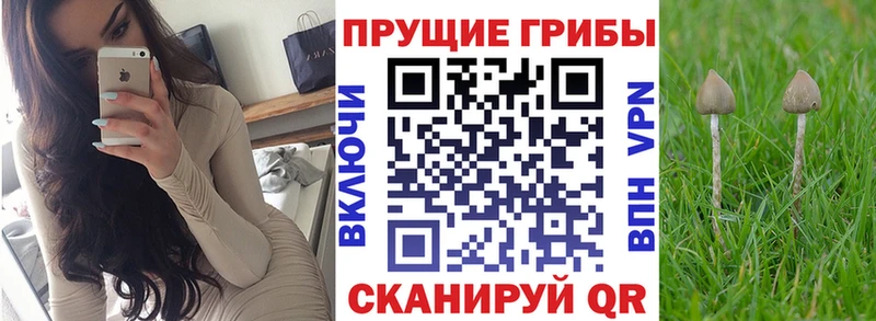 Псилоцибиновые грибы ЛСД  Купить  Агидель 